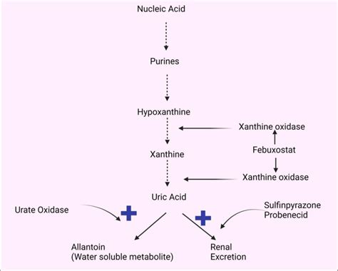febsan uses|Febuxostat: Uses, Interactions, Mechanism of Action.